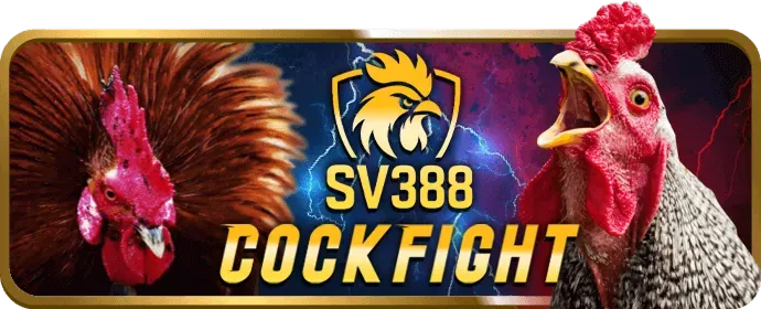 Quy trình đăng ký qh888